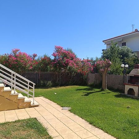 Dimar1 Seaside Apartment Paralia Dionisiou Exterior foto