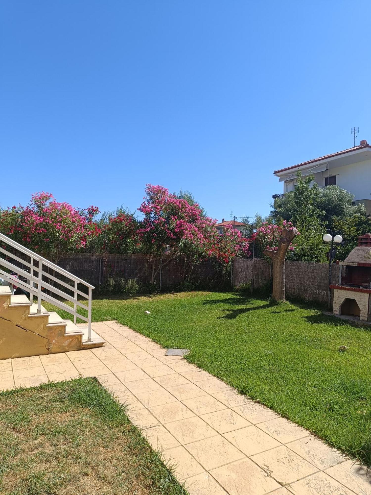Dimar1 Seaside Apartment Paralia Dionisiou Exterior foto
